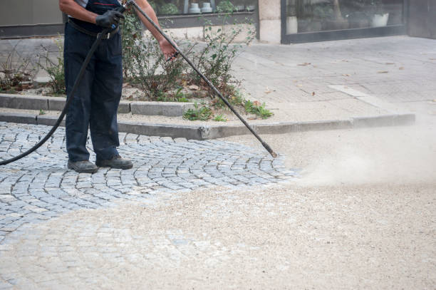Best Driveway Cleaning and Restoration in Le Roy, IL