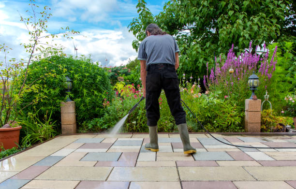 Best Brick and Stone Cleaning in Le Roy, IL