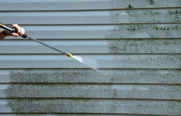 Best Vinyl Siding Pressure Washing in Le Roy, IL